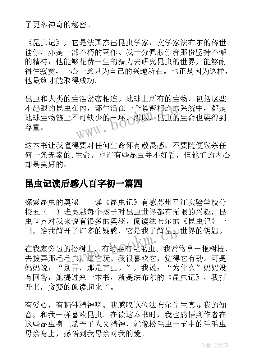 昆虫记读后感八百字初一(优质8篇)