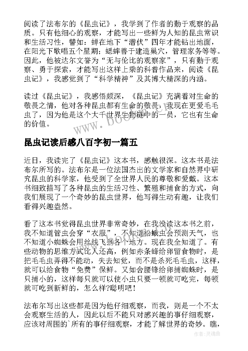 昆虫记读后感八百字初一(优质8篇)