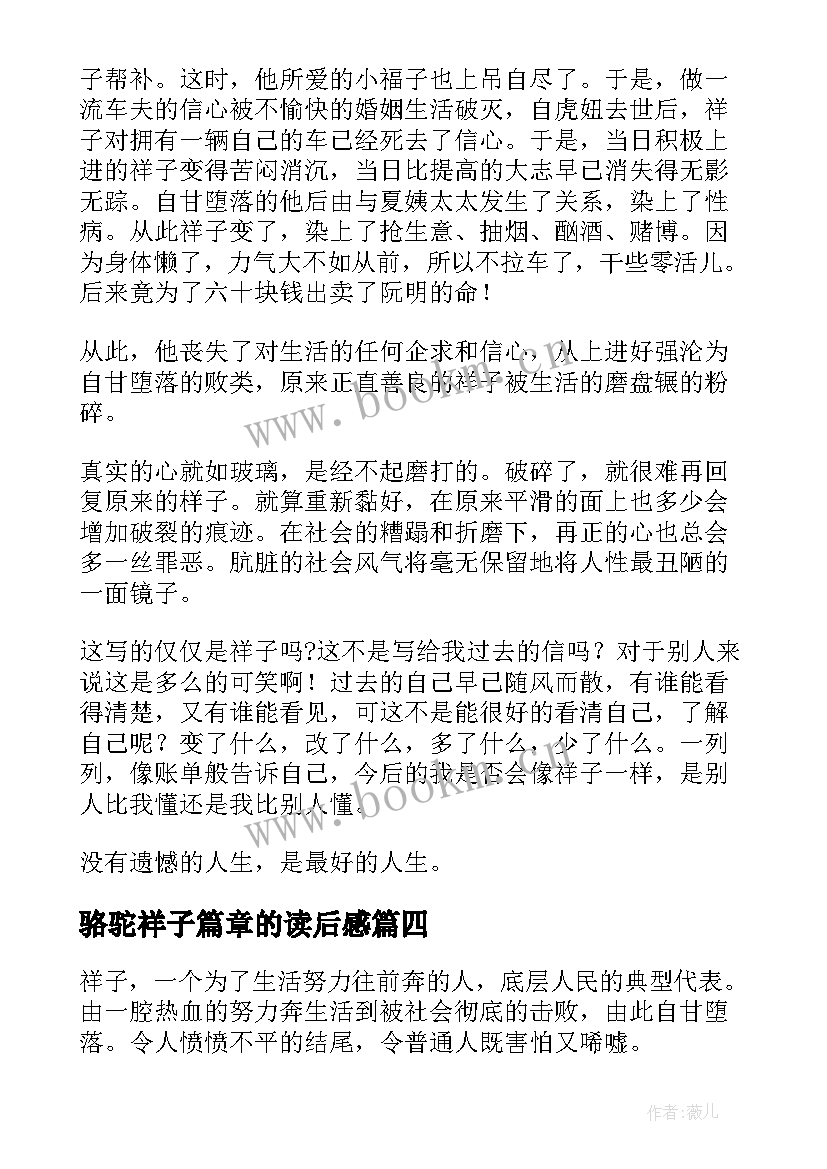 骆驼祥子篇章的读后感(优秀9篇)