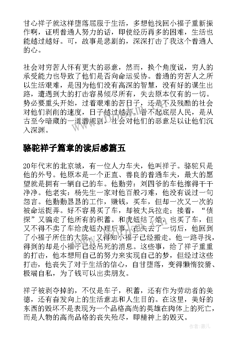 骆驼祥子篇章的读后感(优秀9篇)