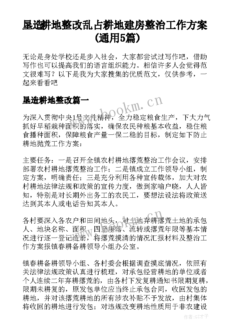 垦造耕地整改 乱占耕地建房整治工作方案(通用5篇)