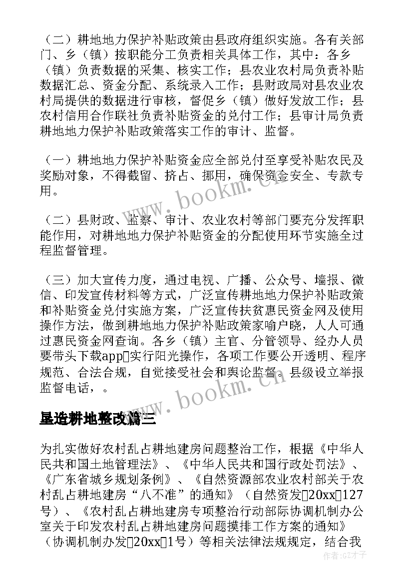 垦造耕地整改 乱占耕地建房整治工作方案(通用5篇)