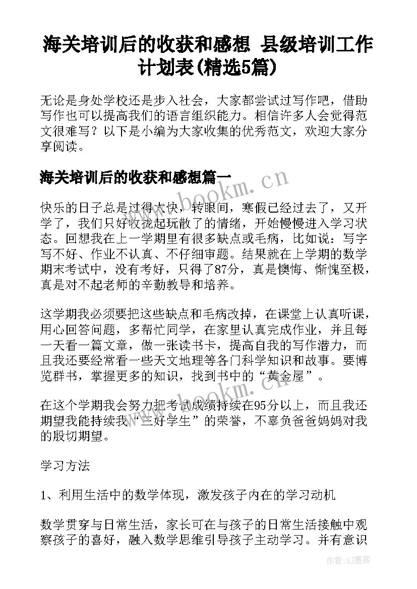 海关培训后的收获和感想 县级培训工作计划表(精选5篇)