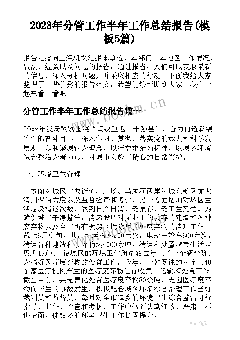 2023年分管工作半年工作总结报告(模板5篇)