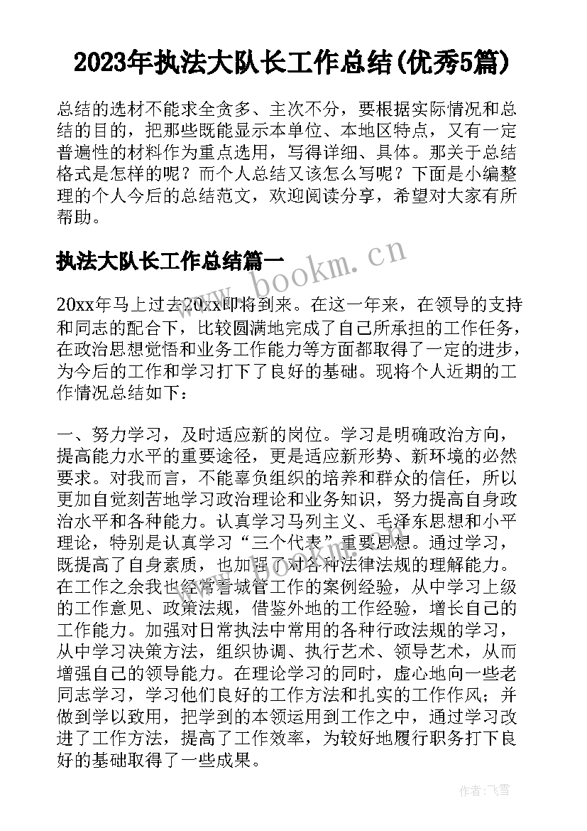 2023年执法大队长工作总结(优秀5篇)