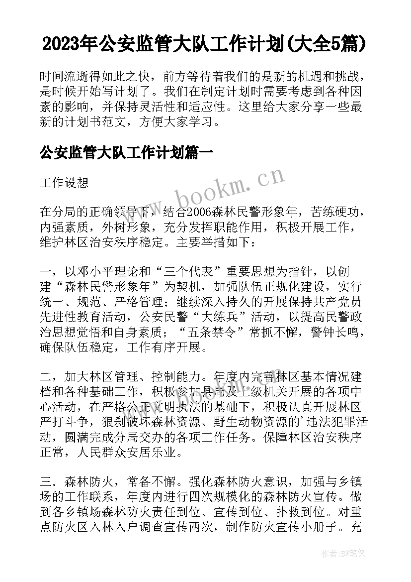 2023年公安监管大队工作计划(大全5篇)