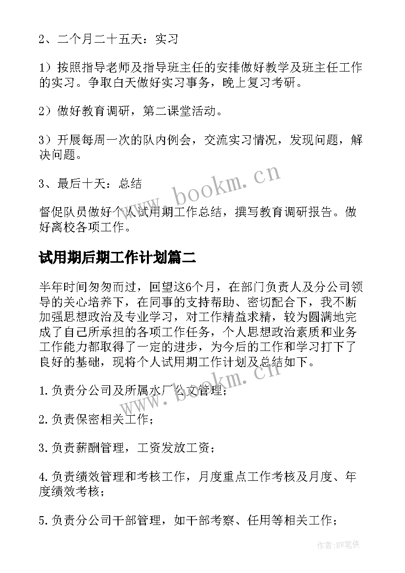 最新试用期后期工作计划 试用期工作计划工作计划书(通用8篇)