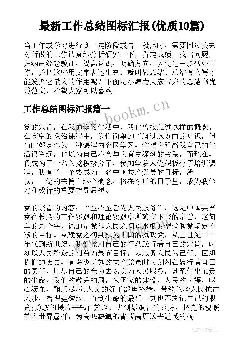 最新工作总结图标汇报(优质10篇)