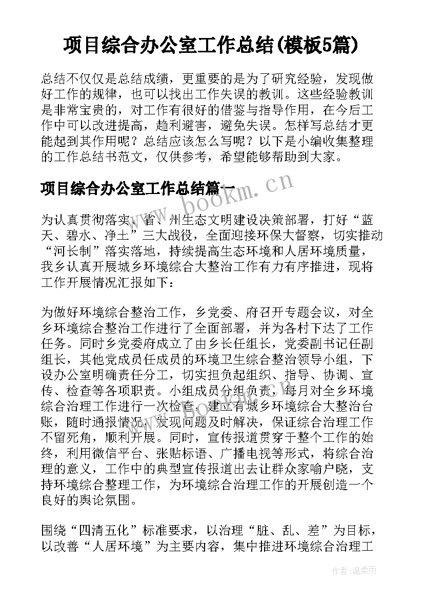 项目综合办公室工作总结(模板5篇)