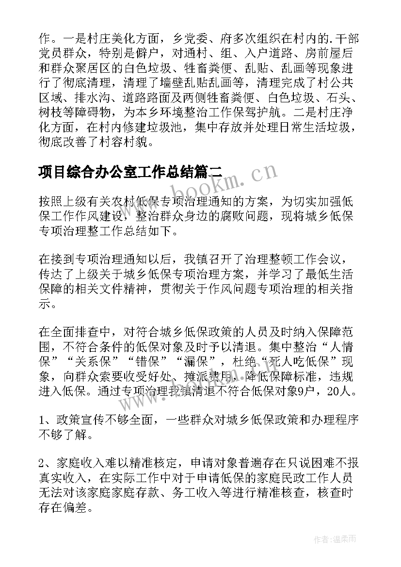 项目综合办公室工作总结(模板5篇)