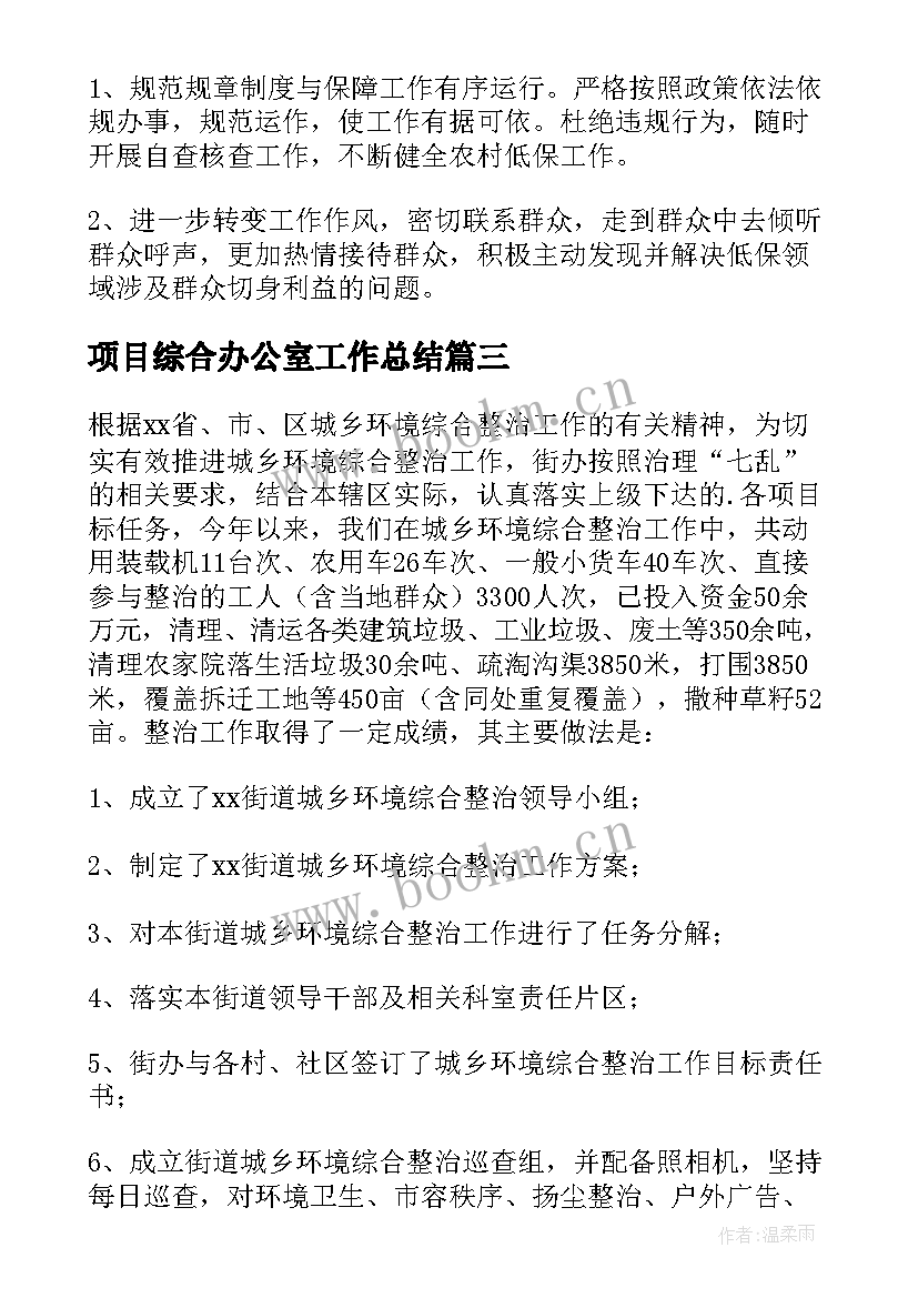 项目综合办公室工作总结(模板5篇)