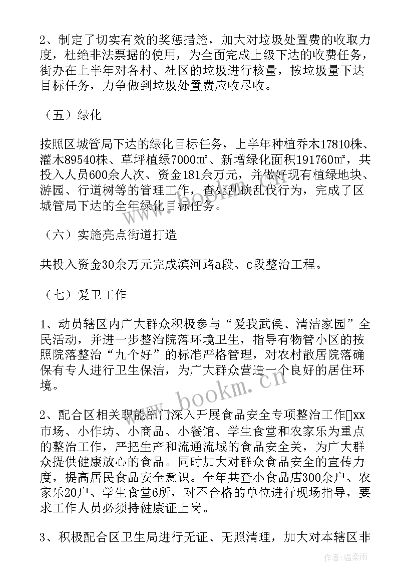 项目综合办公室工作总结(模板5篇)