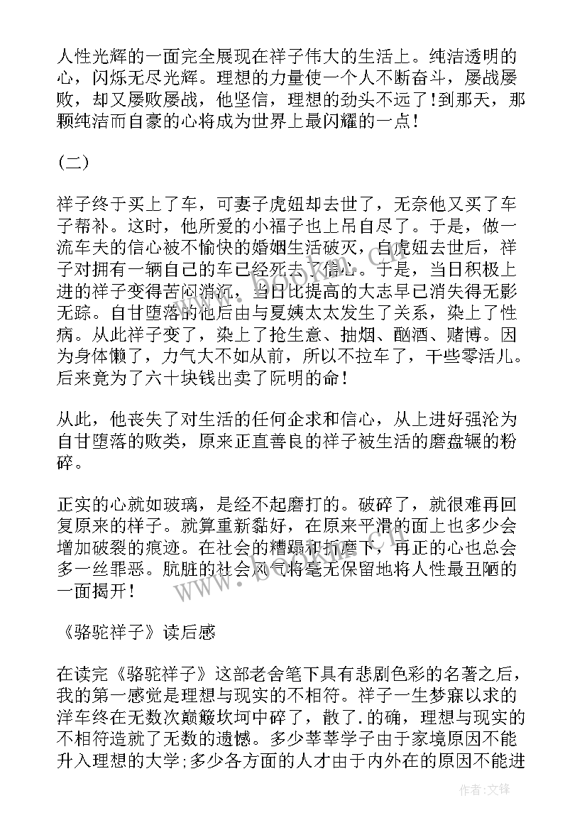 最新骆驼祥子读后感借鉴了哪本书 骆驼祥子读后感骆驼祥子读后感(优秀10篇)