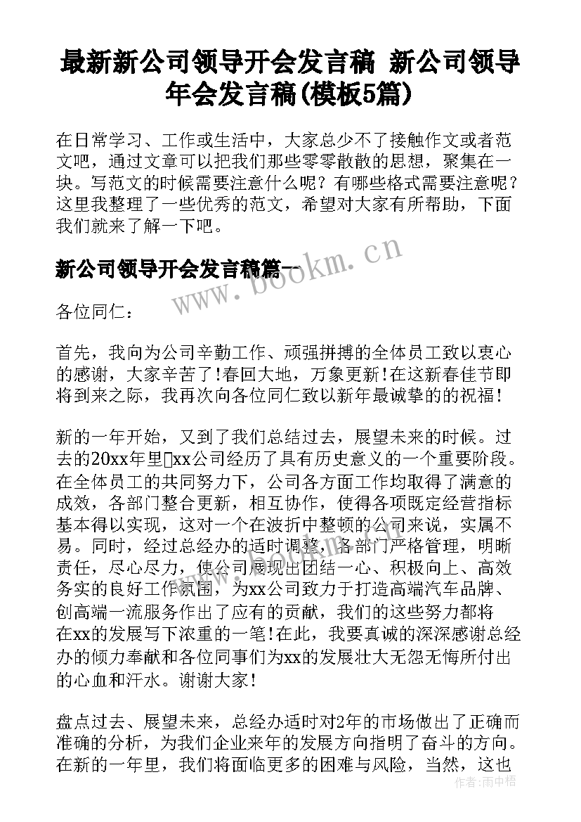 最新新公司领导开会发言稿 新公司领导年会发言稿(模板5篇)