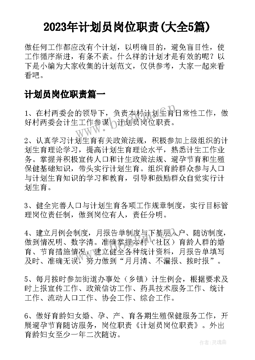 2023年计划员岗位职责(大全5篇)