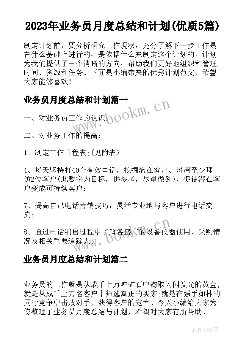 2023年业务员月度总结和计划(优质5篇)