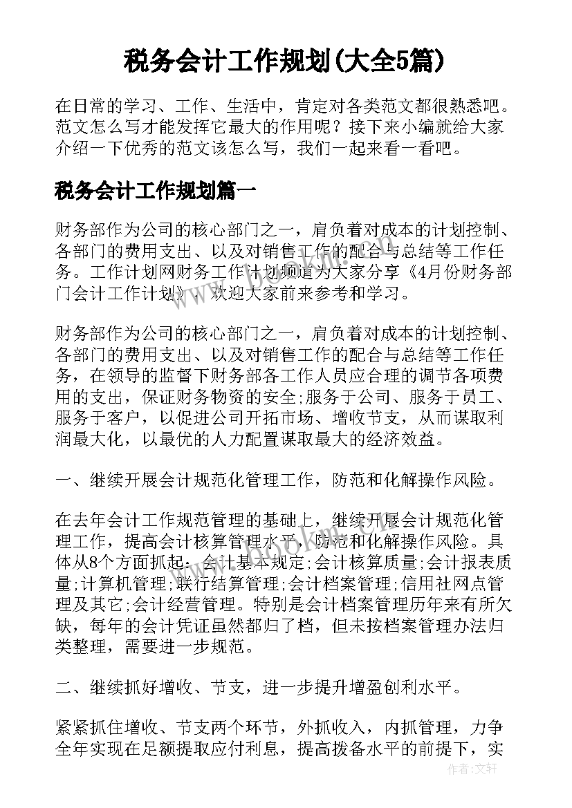 税务会计工作规划(大全5篇)