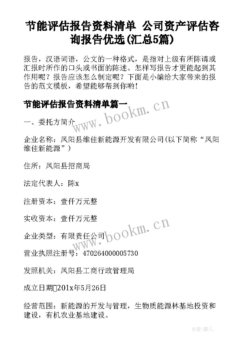 节能评估报告资料清单 公司资产评估咨询报告优选(汇总5篇)