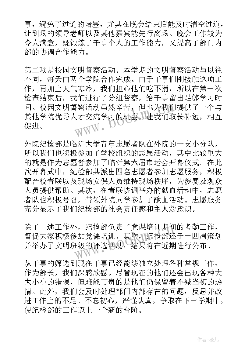 2023年纪检监察审理工作总结(通用9篇)