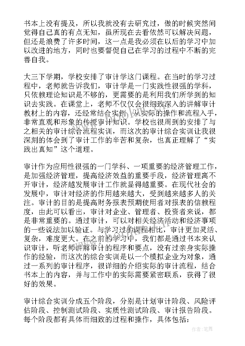 对项目的审计报告(大全5篇)