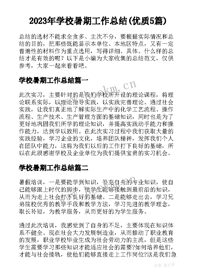 2023年学校暑期工作总结(优质5篇)