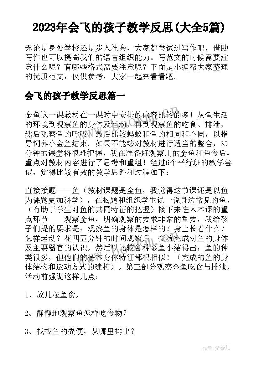 2023年会飞的孩子教学反思(大全5篇)