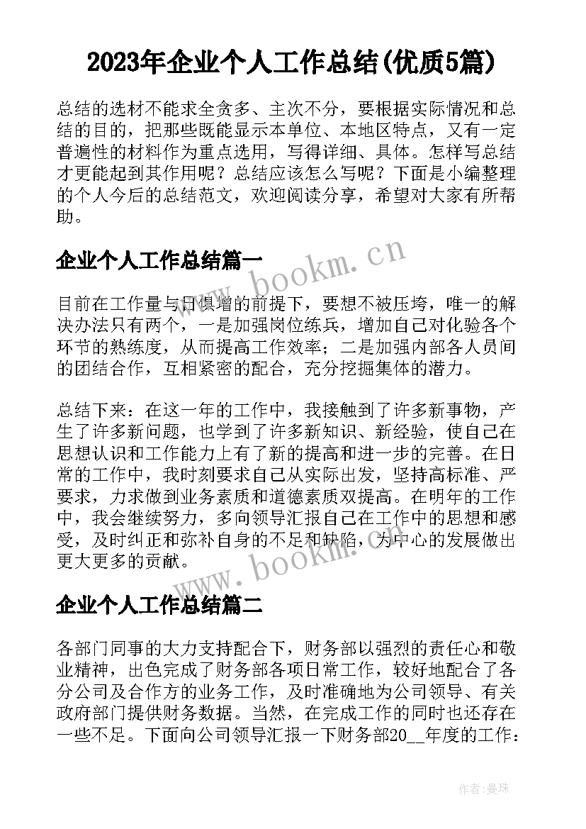 2023年企业个人工作总结(优质5篇)