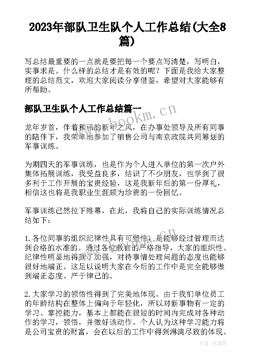 2023年部队卫生队个人工作总结(大全8篇)