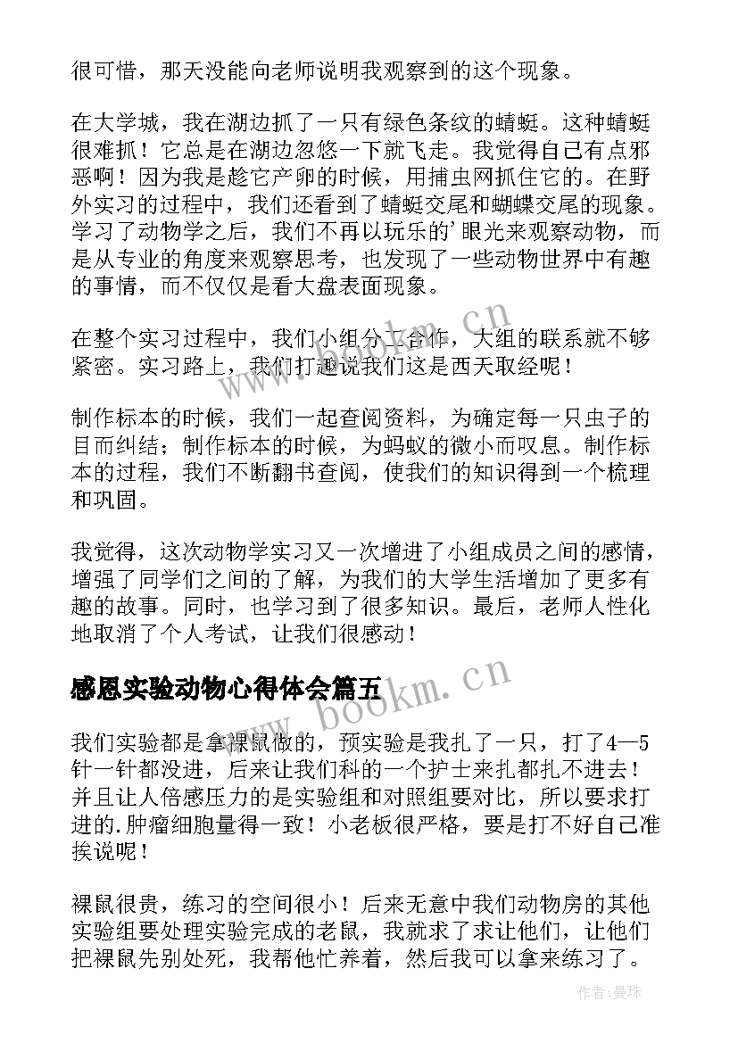 感恩实验动物心得体会(精选5篇)