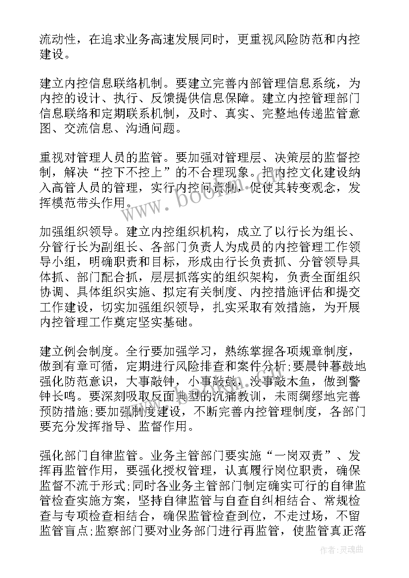 2023年内控年度总结(大全8篇)