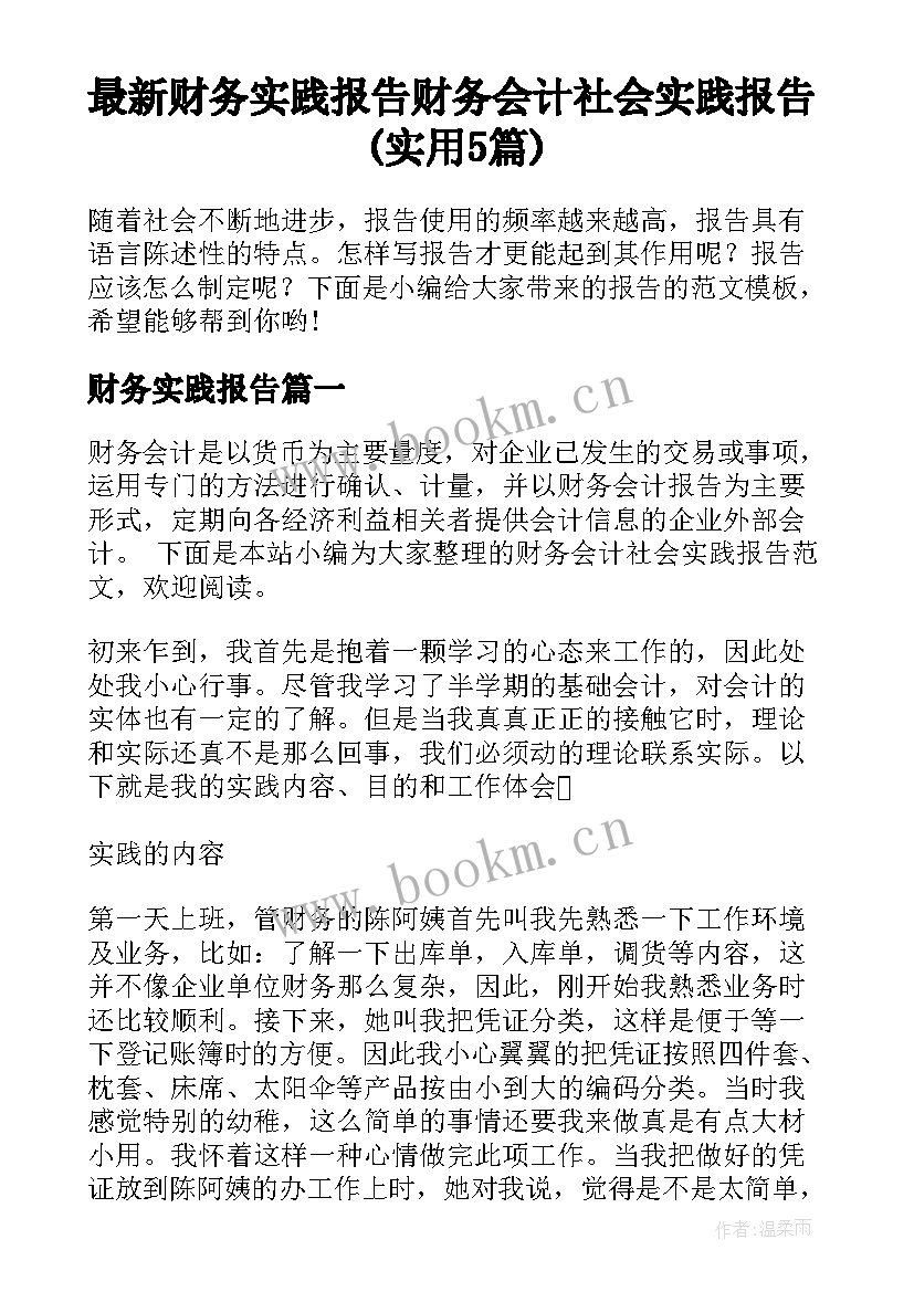 最新财务实践报告 财务会计社会实践报告(实用5篇)