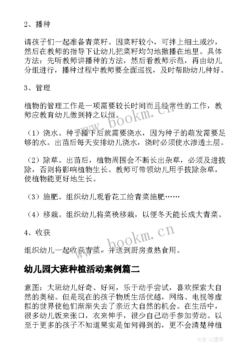 2023年幼儿园大班种植活动案例 幼儿园大班种植活动计划(实用5篇)