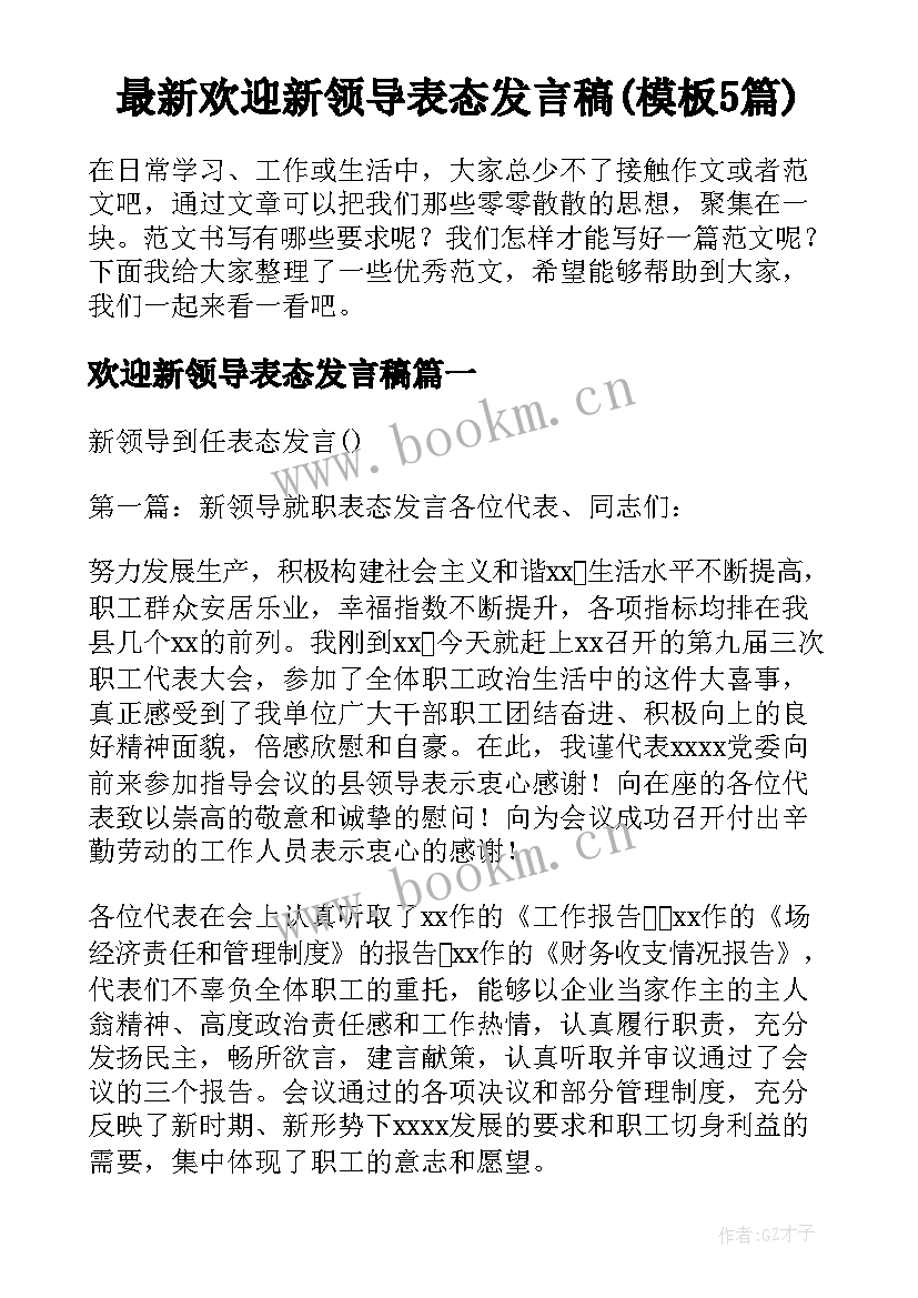 最新欢迎新领导表态发言稿(模板5篇)