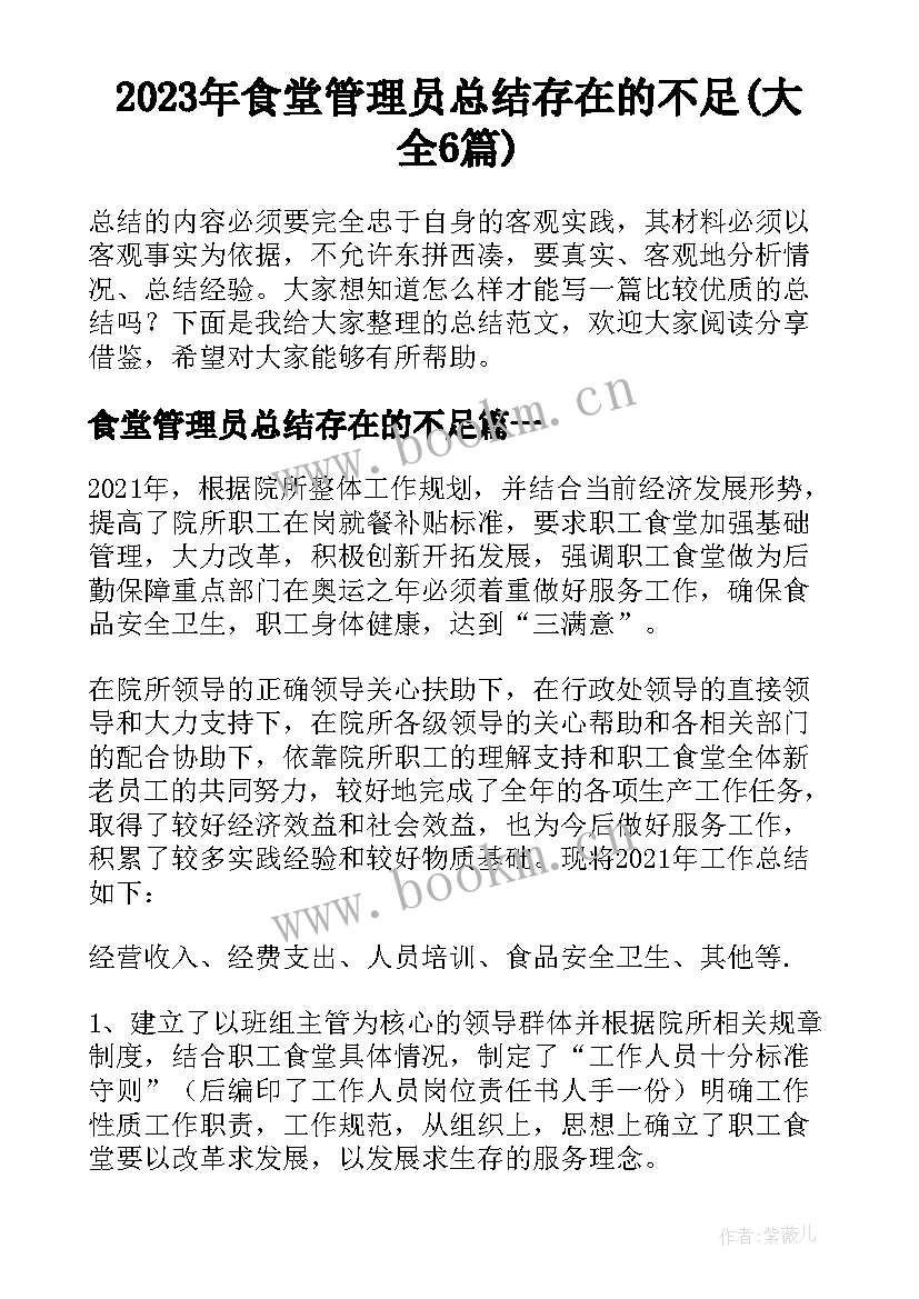 2023年食堂管理员总结存在的不足(大全6篇)