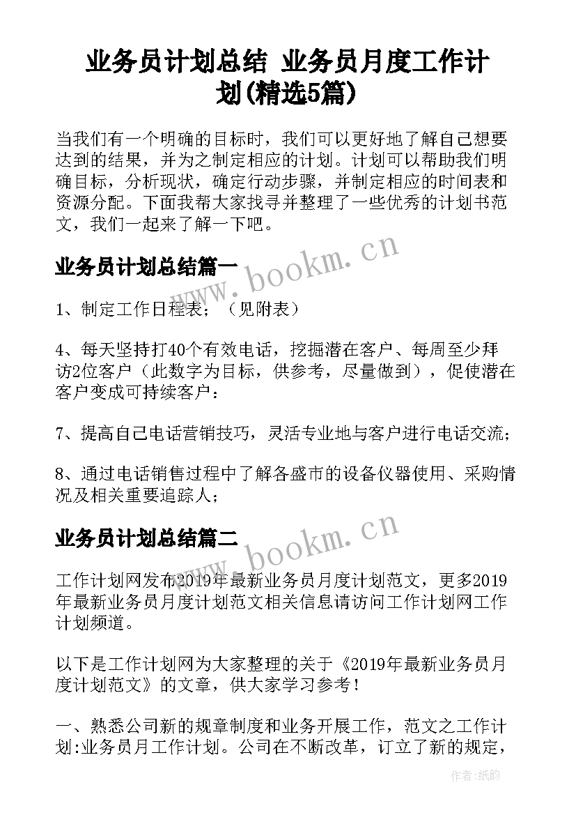 业务员计划总结 业务员月度工作计划(精选5篇)