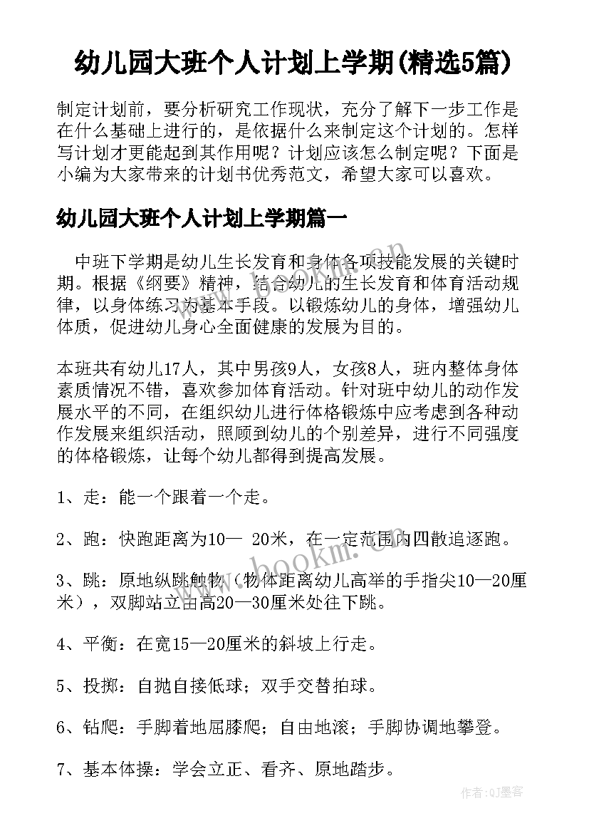 幼儿园大班个人计划上学期(精选5篇)