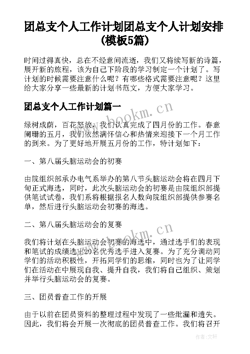 团总支个人工作计划 团总支个人计划安排(模板5篇)