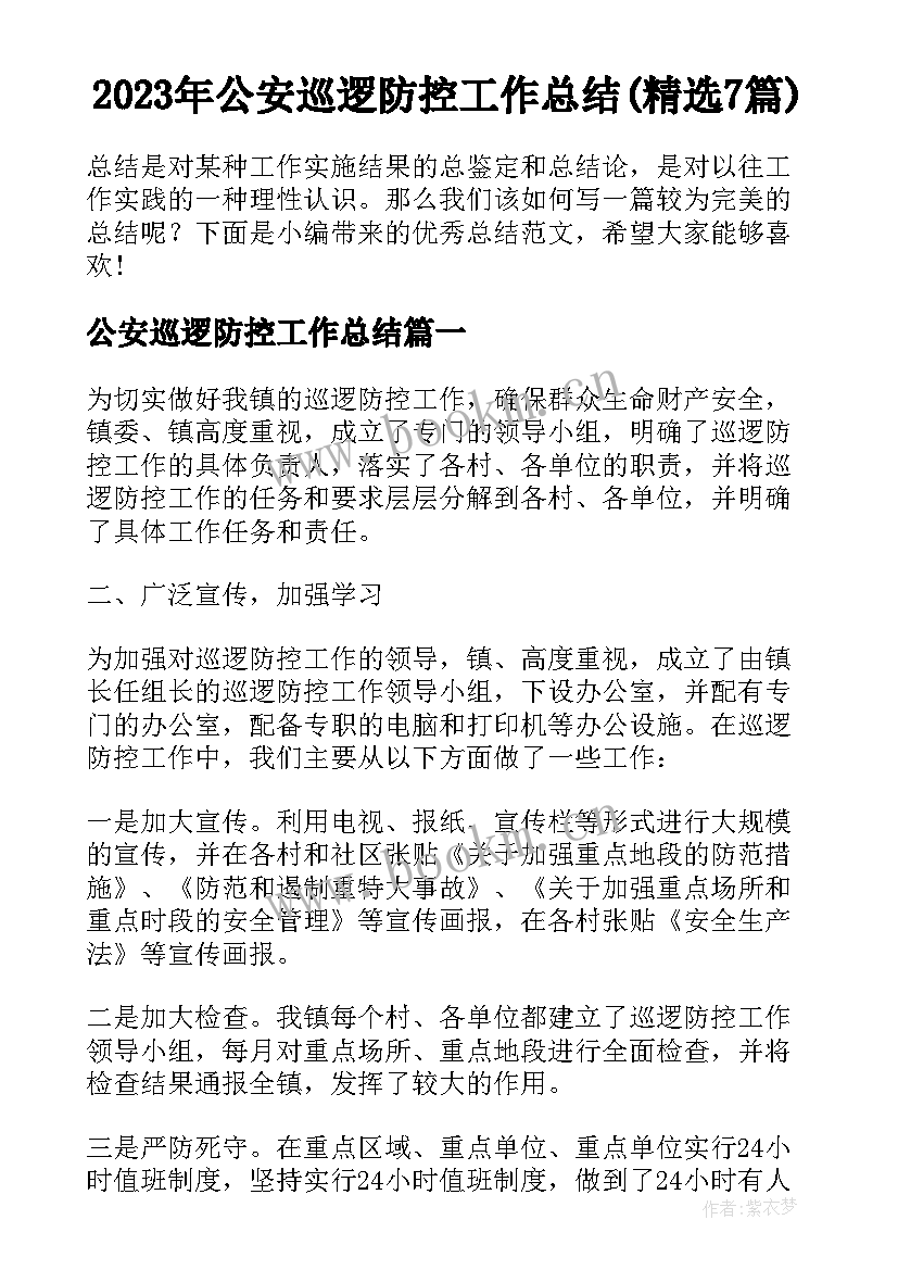 2023年公安巡逻防控工作总结(精选7篇)