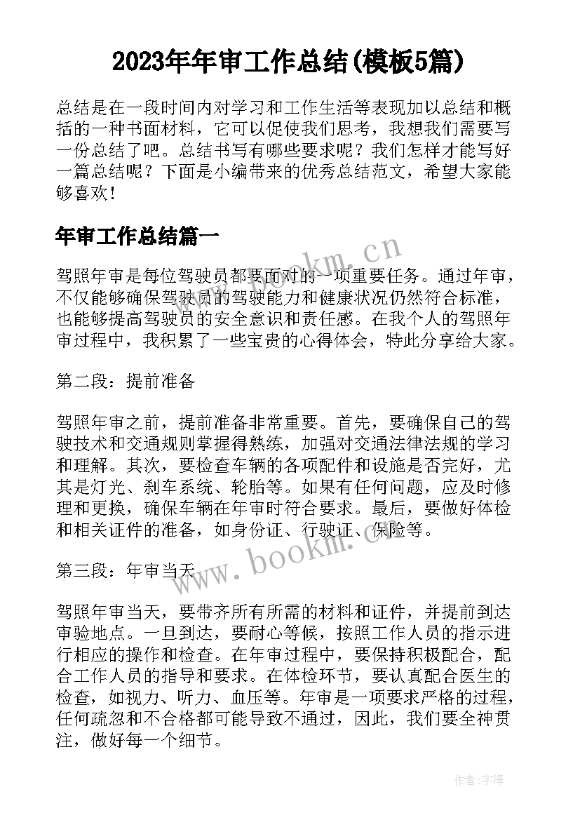 2023年年审工作总结(模板5篇)