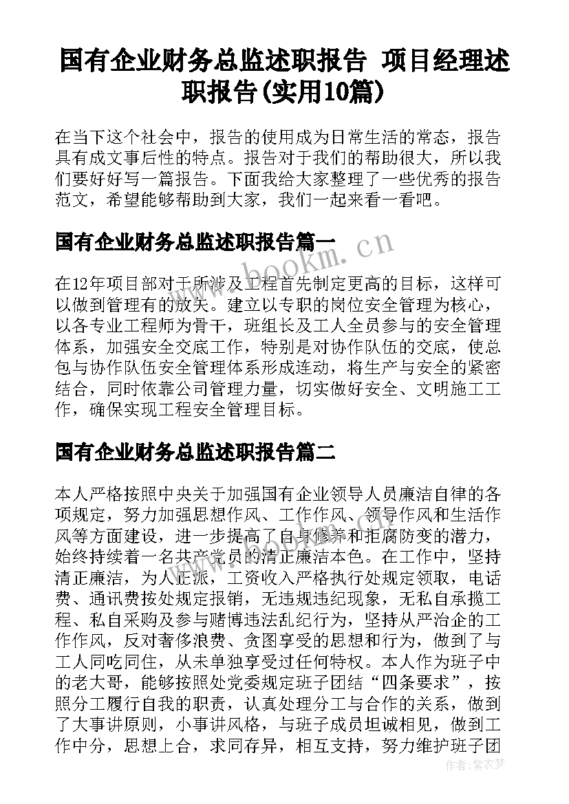 国有企业财务总监述职报告 项目经理述职报告(实用10篇)