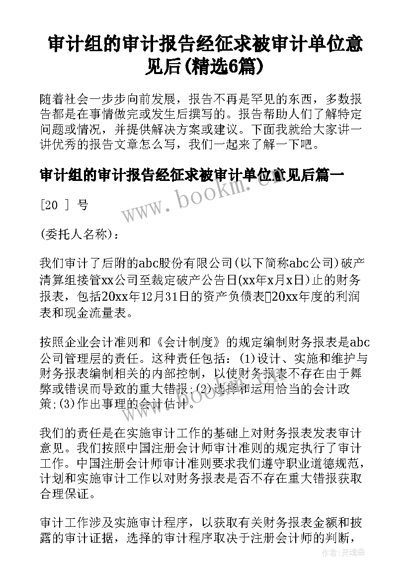 审计组的审计报告经征求被审计单位意见后(精选6篇)