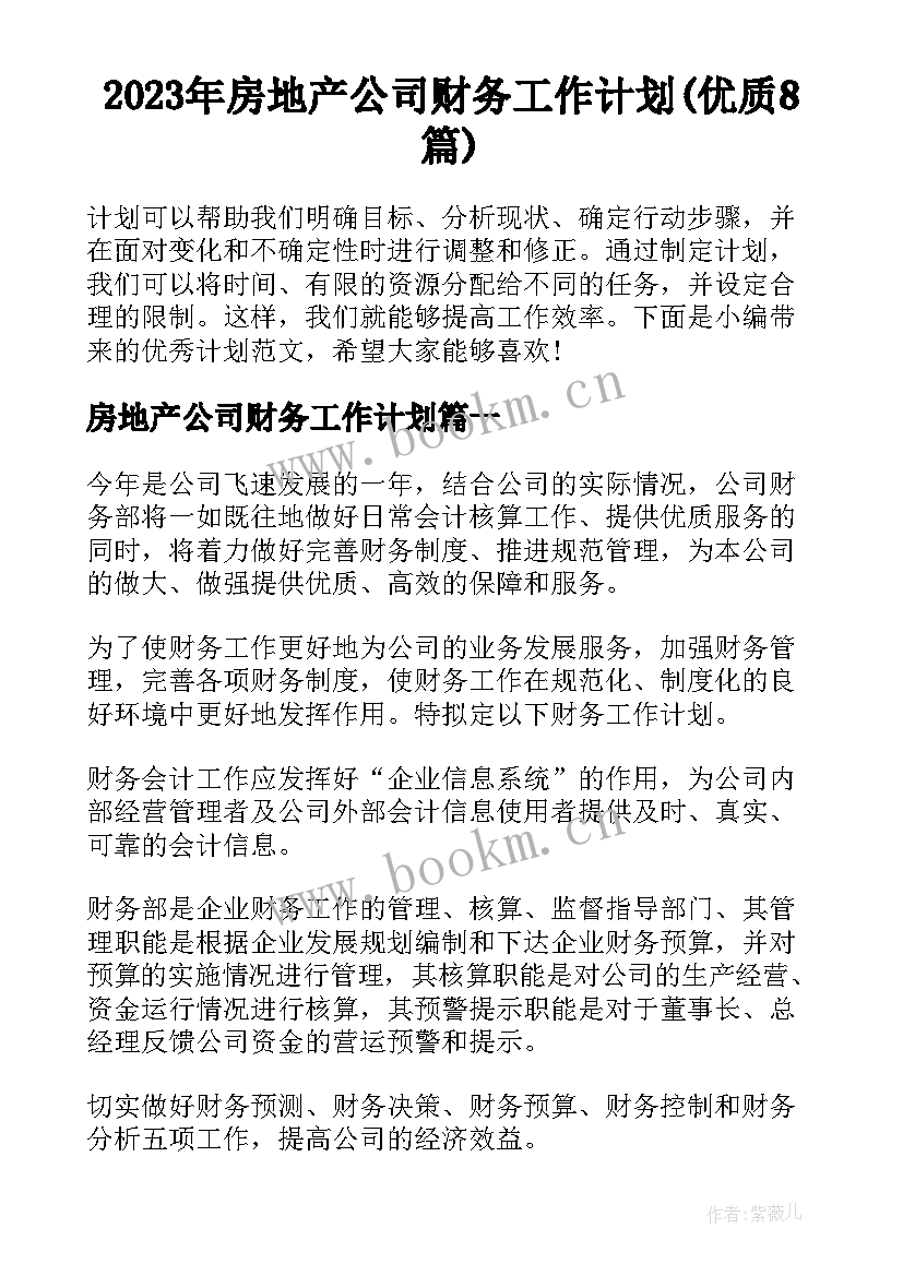 2023年房地产公司财务工作计划(优质8篇)