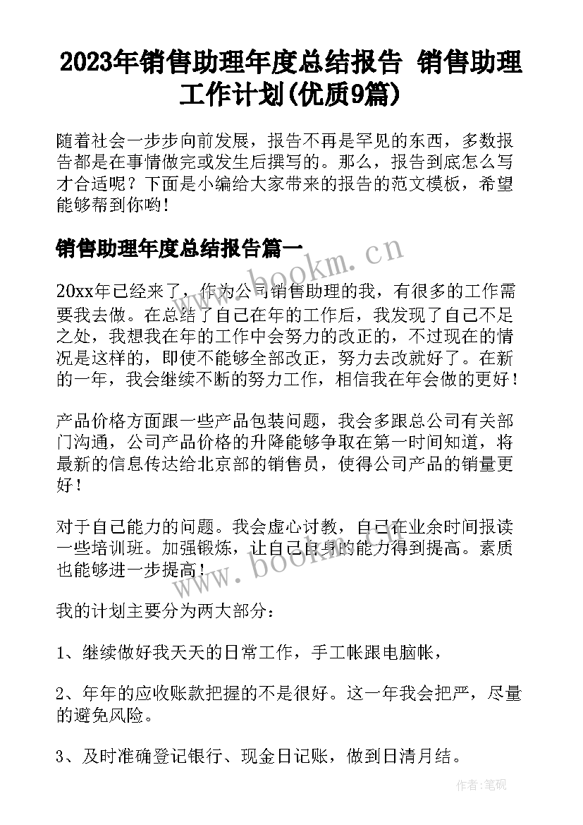 2023年销售助理年度总结报告 销售助理工作计划(优质9篇)