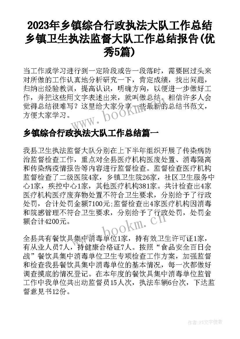 2023年乡镇综合行政执法大队工作总结 乡镇卫生执法监督大队工作总结报告(优秀5篇)