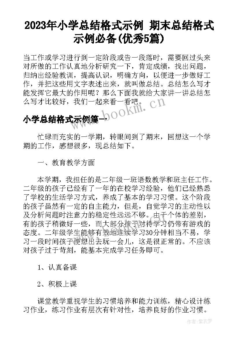 2023年小学总结格式示例 期末总结格式示例必备(优秀5篇)