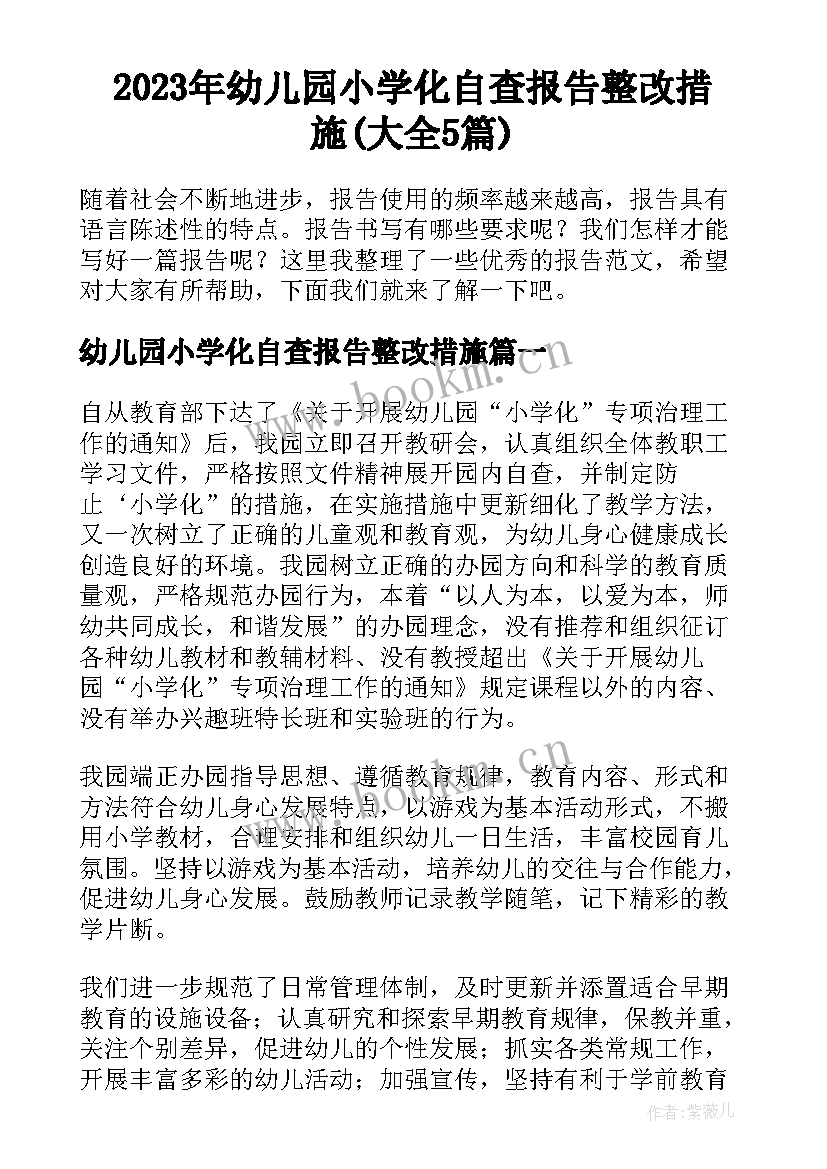 2023年幼儿园小学化自查报告整改措施(大全5篇)