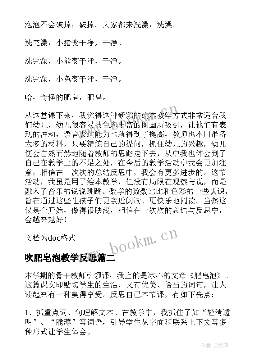 2023年吹肥皂泡教学反思(优质5篇)