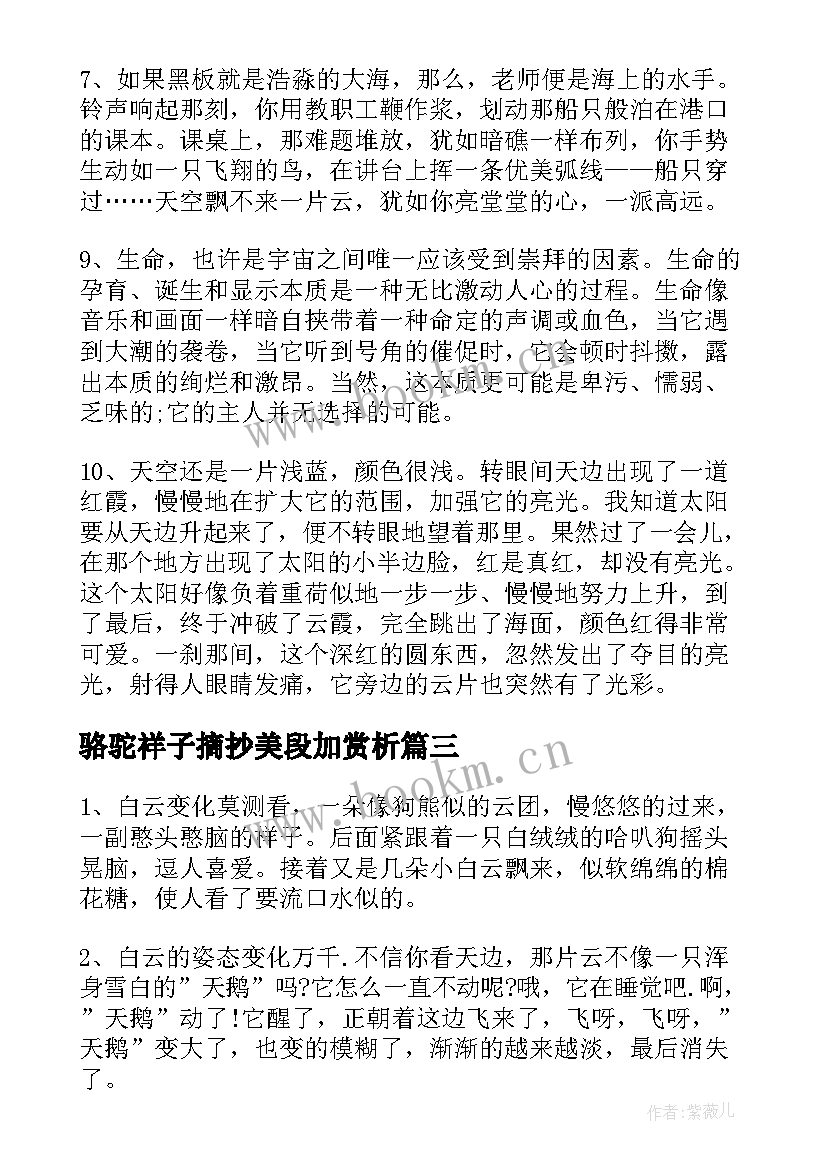 最新骆驼祥子摘抄美段加赏析 珍惜时间段落赏析(实用8篇)