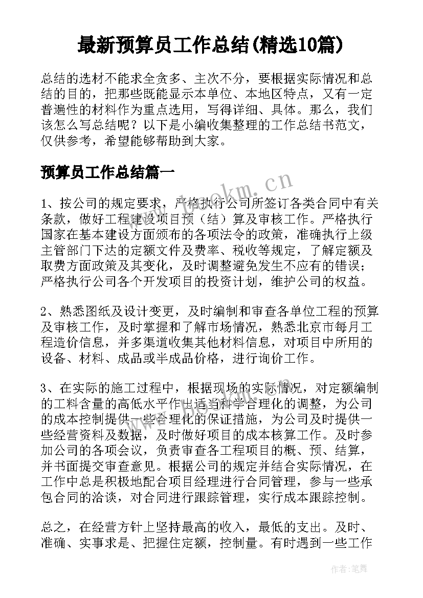 最新预算员工作总结(精选10篇)