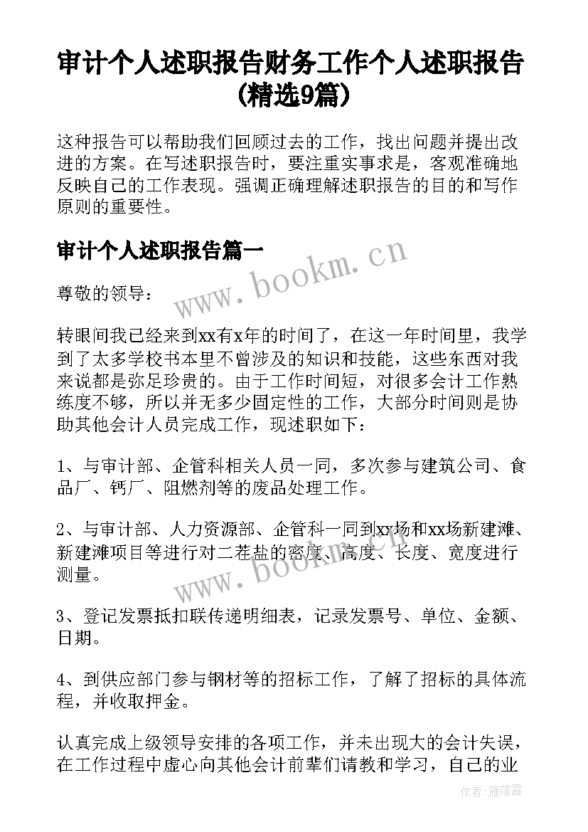 审计个人述职报告 财务工作个人述职报告(精选9篇)